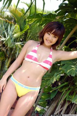 免费电视剧
